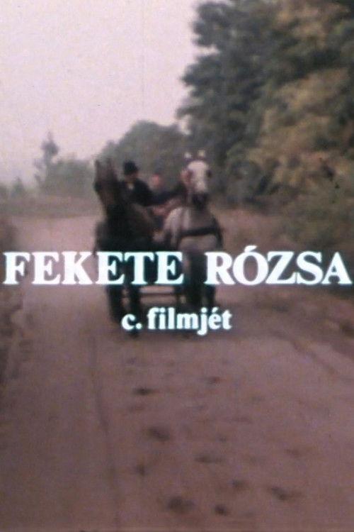 Fekete rózsa