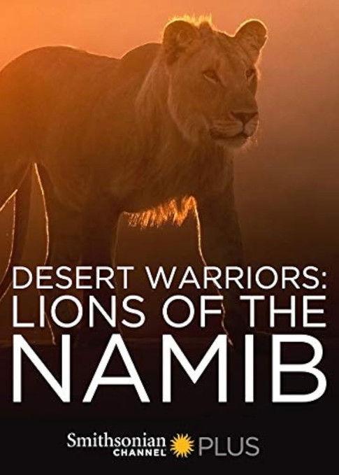 Desert Warriors: Lions of the Namib