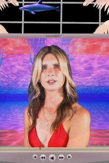 But...You're A Dolphin!