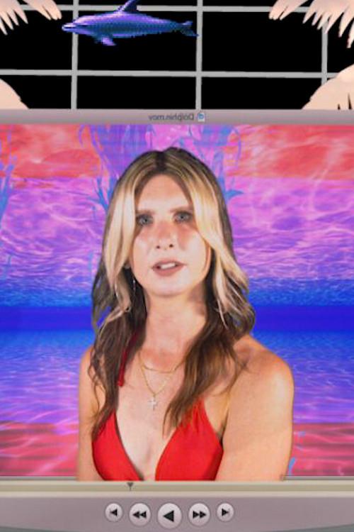 But...You're A Dolphin!