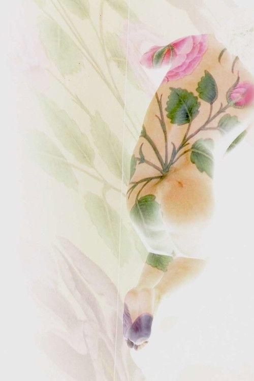 Port Saïd, Santa Cruz, Sarmad Kashani