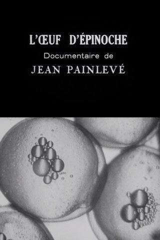 The Stickleback's Eggs