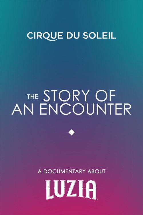 The Story Of An Encounter