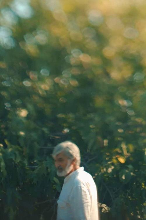 Baku Diaries 3: Memory