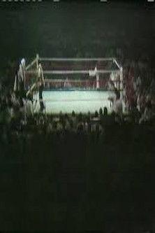 The Long Count III (Thrilla in Manila)