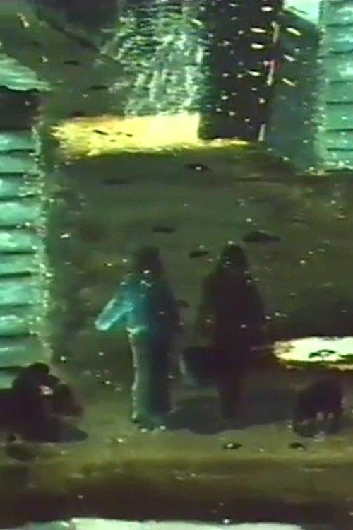 Mitt land (Mi país)