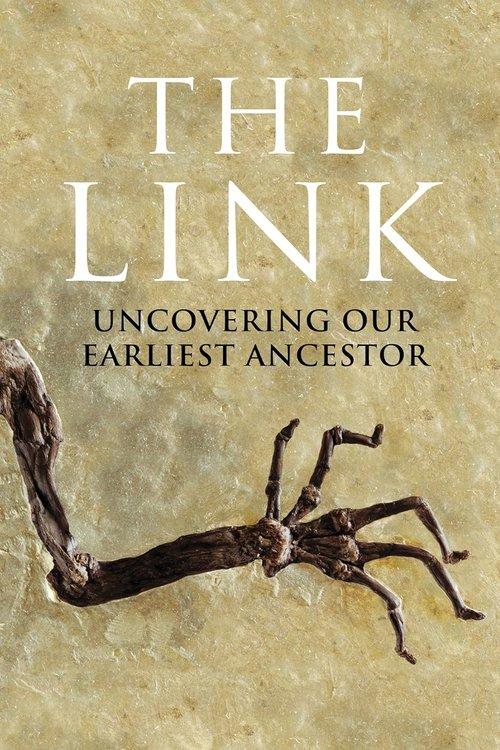 Uncovering Our Earliest Ancestor: The Link