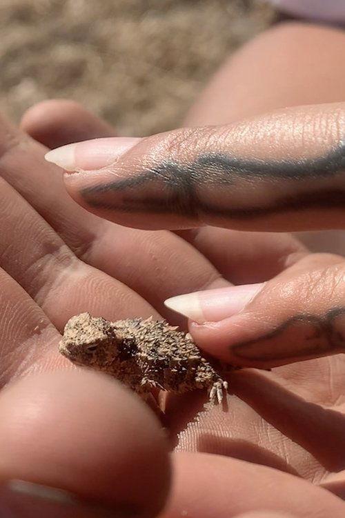 ✧Ⓑ☠☻Ⓛ♡Ⓞ✇☟Ⓞ☁☽Ⓓ✰ ⓜⓐⓣⓔⓡⓘⓐⓛⓢ✦