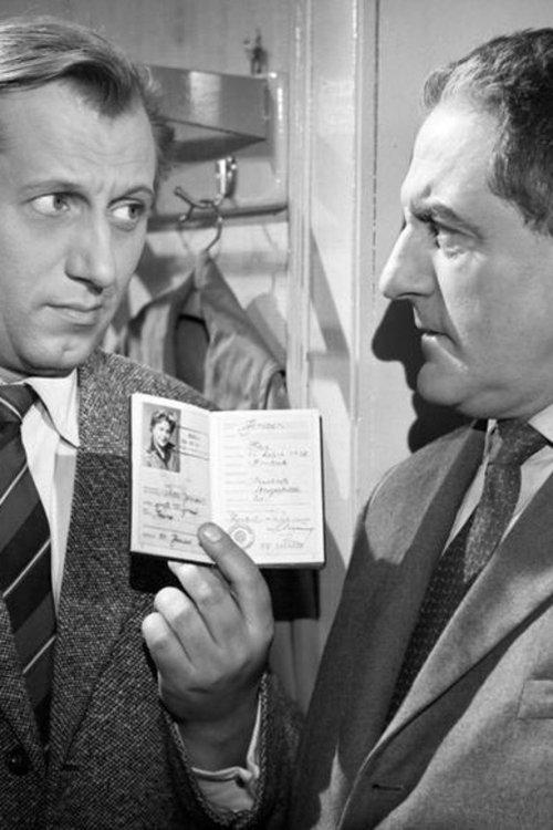 Bonner Pitaval - Die Affäre Heyde-Sawade