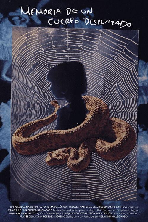 Memory of a Displaced Body