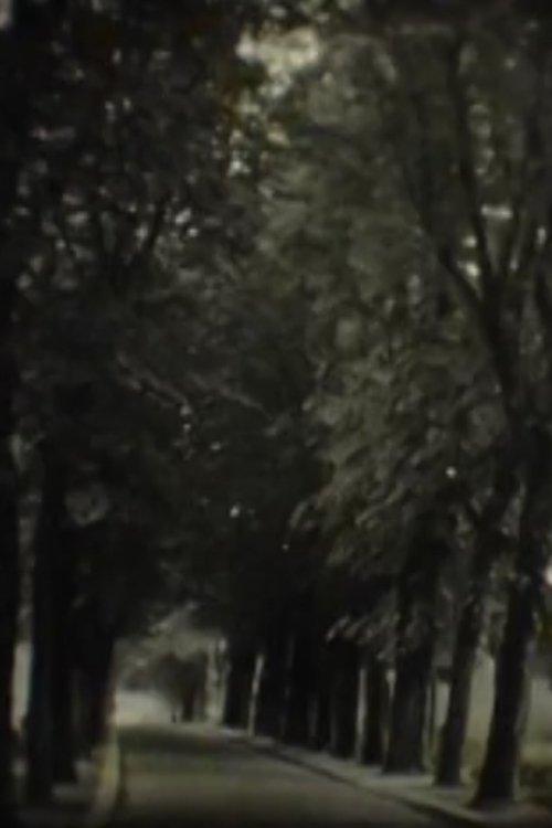 In Search of the Temple