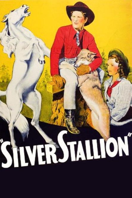 Silver Stallion