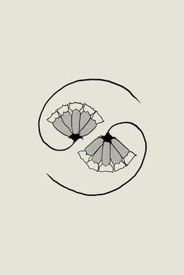 G_d’s Pee AT STATE’S END!