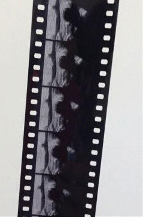 A Return to The Return to Reason