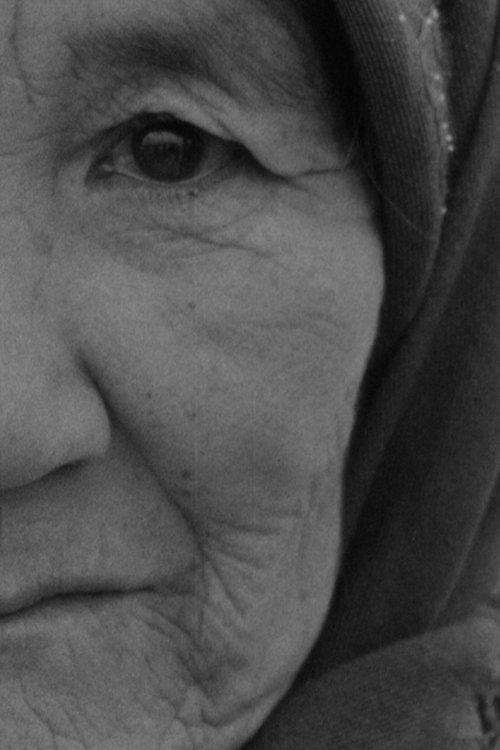 In Memoriam László Mészáros