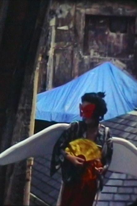 Butterfly Experiment