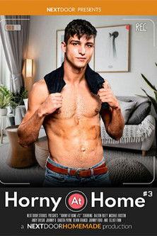 Horny at Home 3
