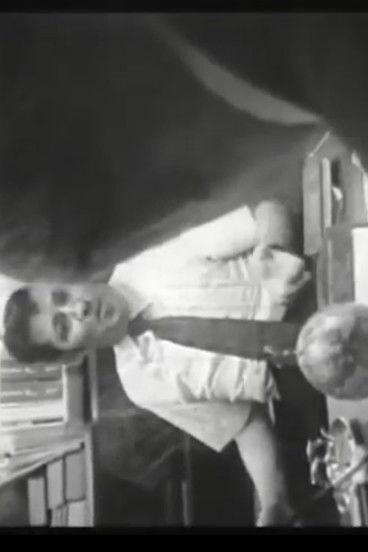 Who Shot Alexander Hamilton