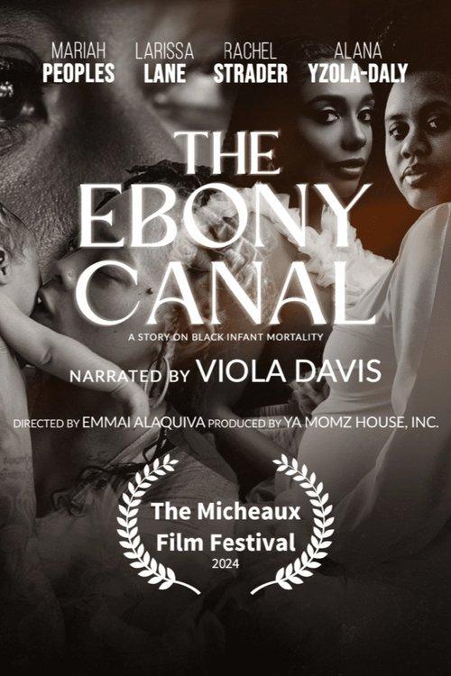 The Ebony Canal: A Story of Black Infant Mortality